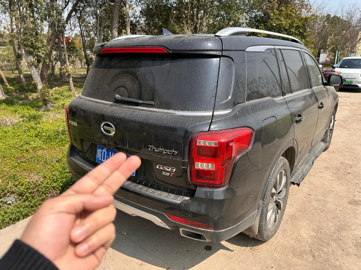 2017 GAC Trumpchi GS8 2.0T 201HP L4 6AT,autocango,china used car exporter,china ev exporter,chinese used car exporter,chinese used ev exporter