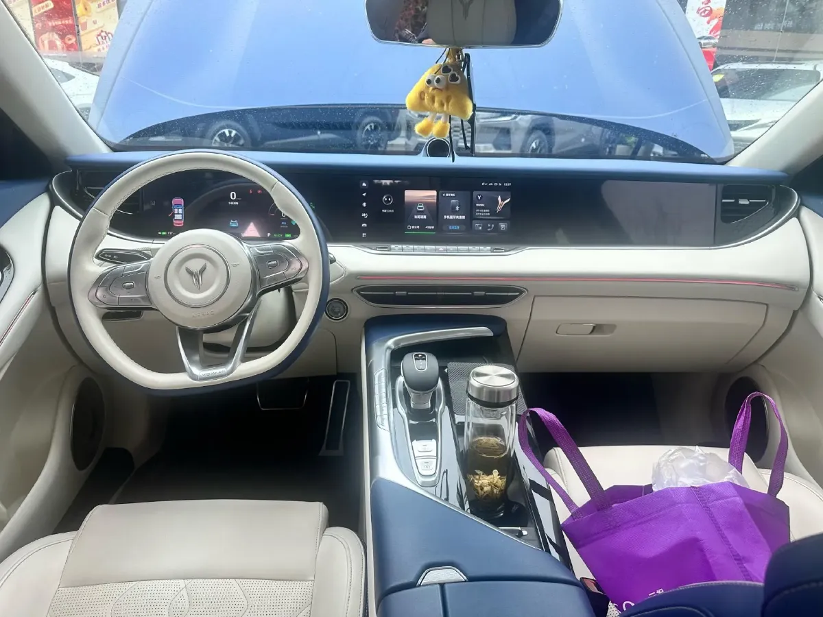 2021 Voyah FREE Range Extended 109HP REEV 33KWH,autocango,china used car exporter,china ev exporter,chinese used car exporter,chinese used ev exporter