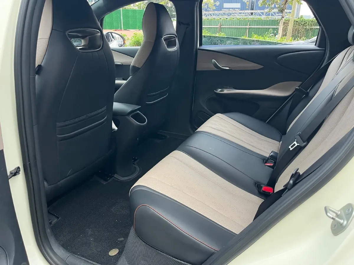 2023 BYD Dolphin BEV 44.928KWH,autocango,china used car exporter,china ev exporter,chinese used car exporter,chinese used ev exporter