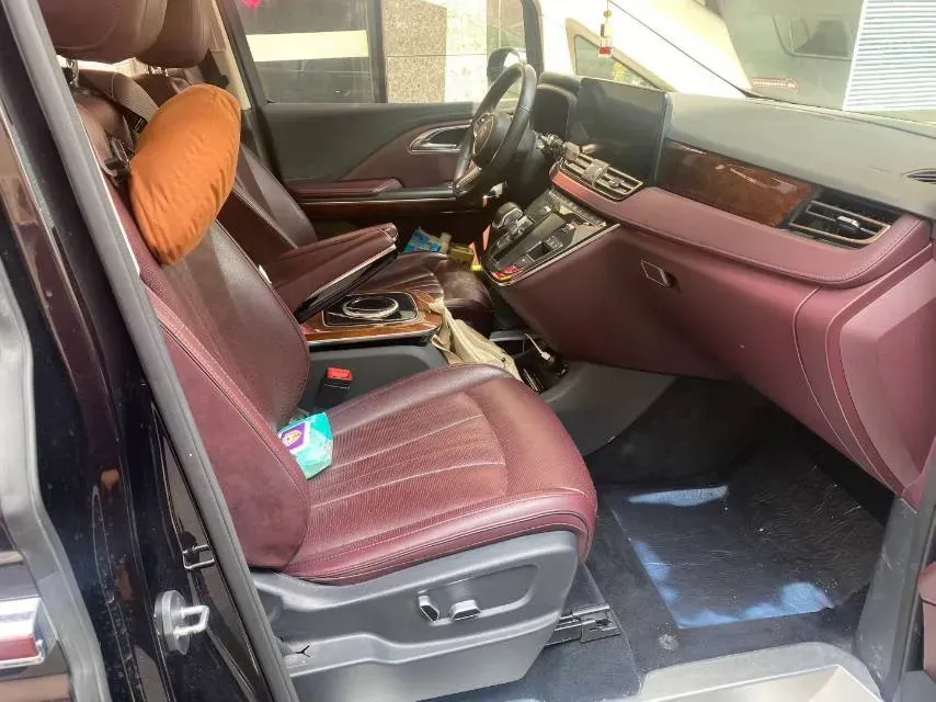 2023 HongQi HQ9 2.0T 252HP L4 8AT,autocango,china used car exporter,china ev exporter,chinese used car exporter,chinese used ev exporter