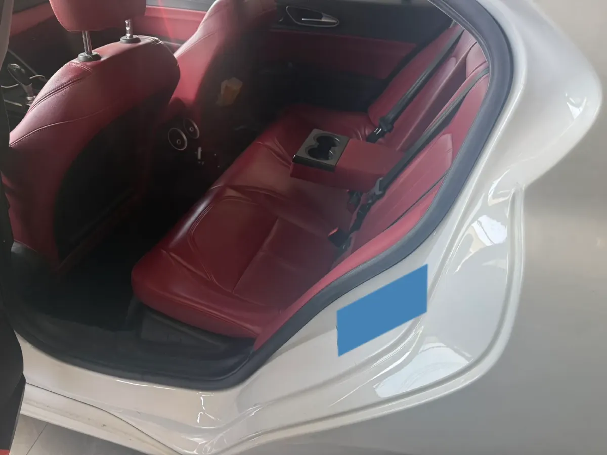 2017 Ford Mustang 2.3T 314HP L4 6AT,autocango,china used car exporter,china ev exporter,chinese used car exporter,chinese used ev exporter