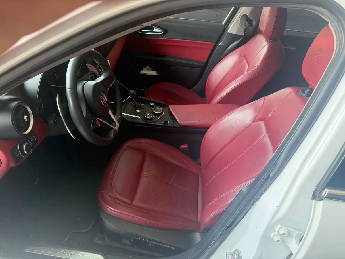 2017 Ford Mustang 2.3T 314HP L4 6AT,autocango,china used car exporter,china ev exporter,chinese used car exporter,chinese used ev exporter