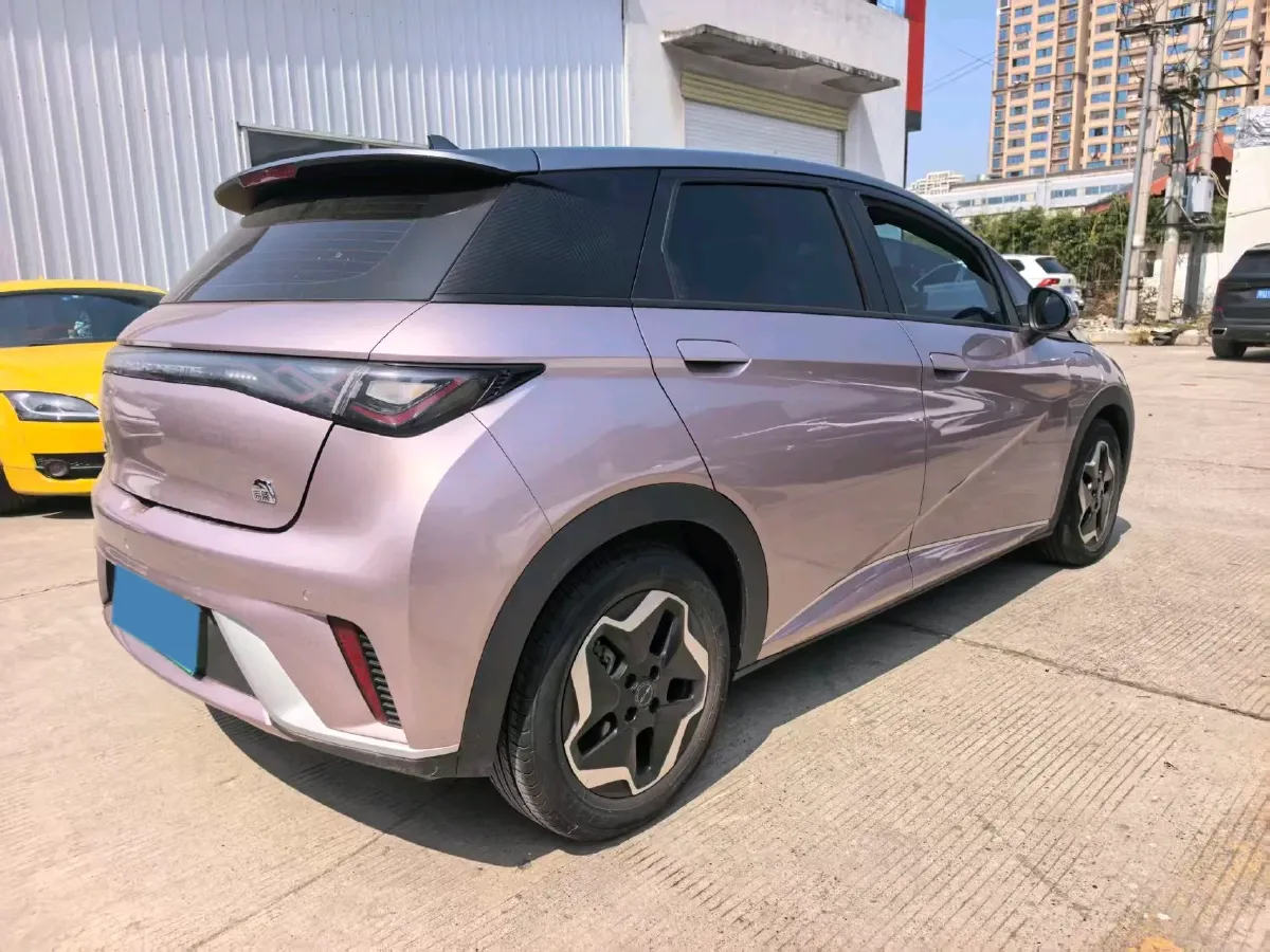 2023 BYD Dolphin BEV 44.928KWH,autocango,china used car exporter,china ev exporter,chinese used car exporter,chinese used ev exporter