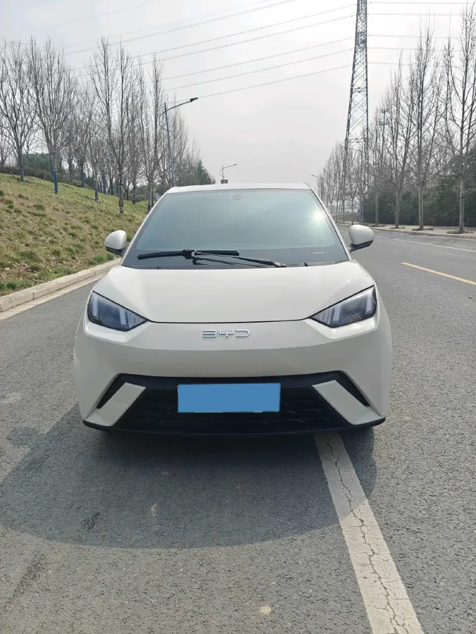 2024 BYD Seagull BEV 30.08KWH,autocango,china used car exporter,china ev exporter,chinese used car exporter,chinese used ev exporter
