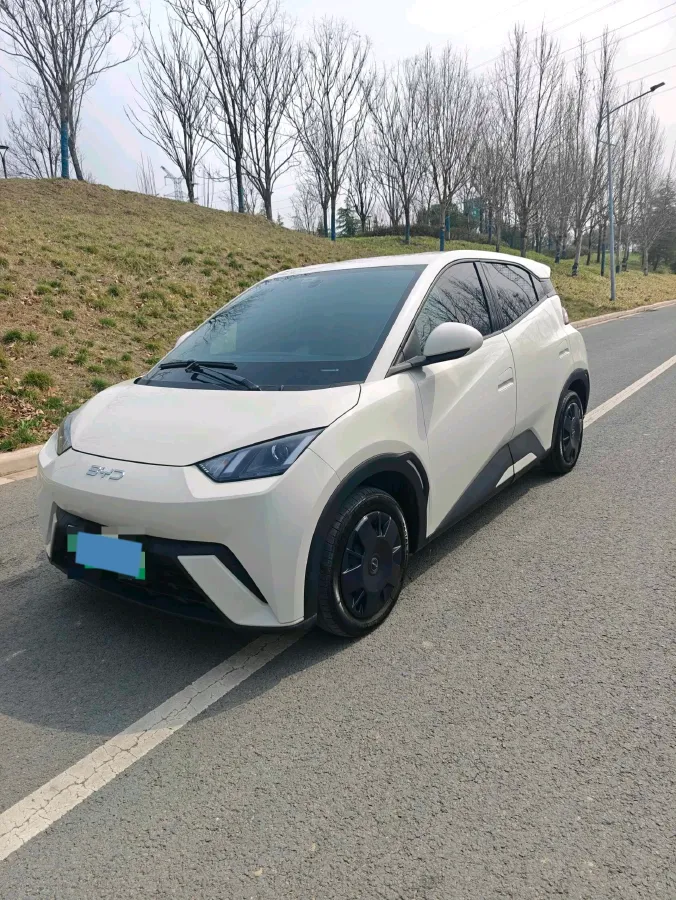 2024 BYD Seagull BEV 30.08KWH,autocango,china used car exporter,china ev exporter,chinese used car exporter,chinese used ev exporter