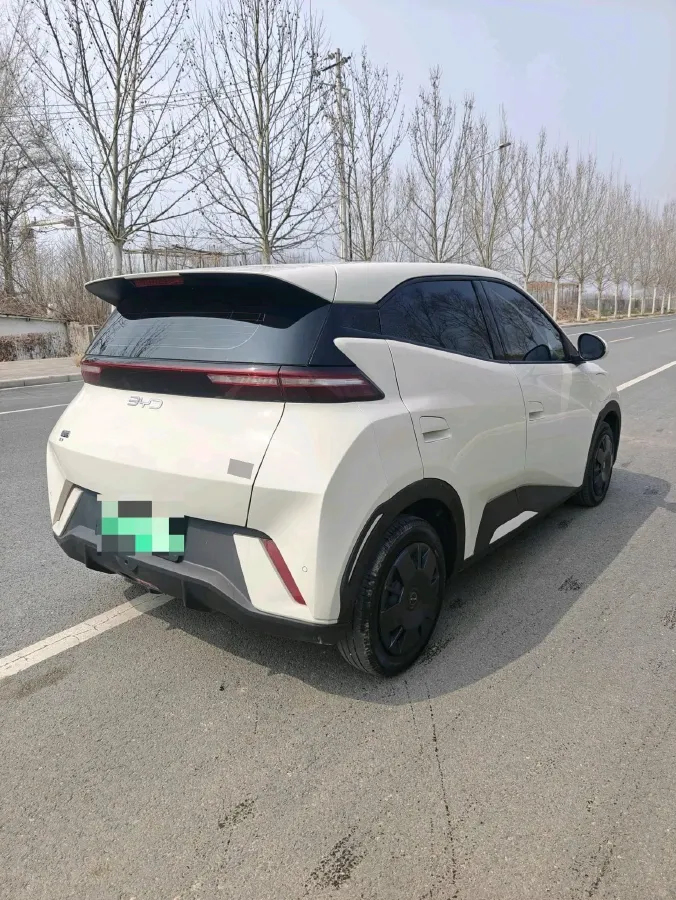 2024 BYD Seagull BEV 30.08KWH,autocango,china used car exporter,china ev exporter,chinese used car exporter,chinese used ev exporter