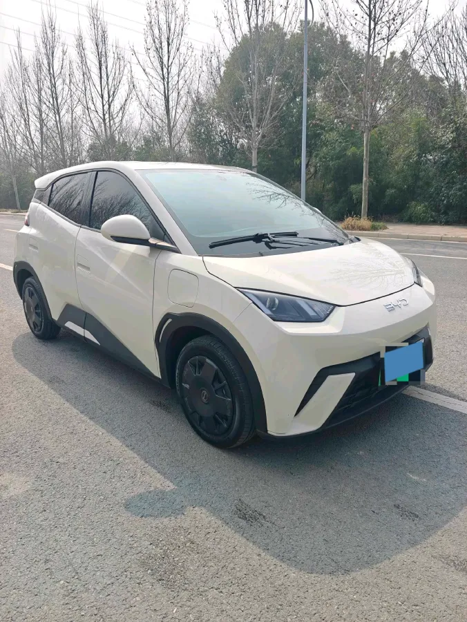 2024 BYD Seagull BEV 30.08KWH,autocango,china used car exporter,china ev exporter,chinese used car exporter,chinese used ev exporter