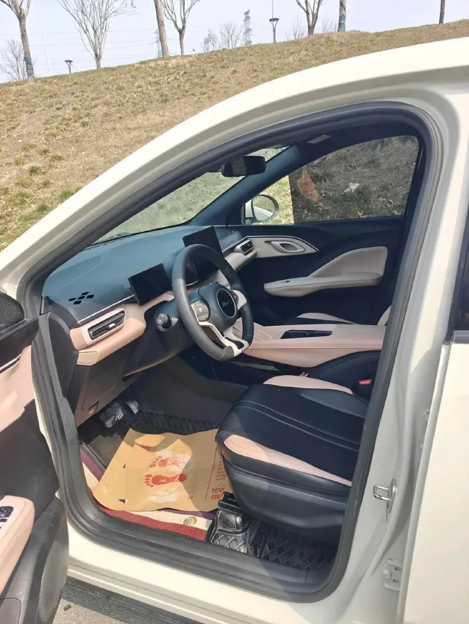 2024 BYD Seagull BEV 30.08KWH,autocango,china used car exporter,china ev exporter,chinese used car exporter,chinese used ev exporter