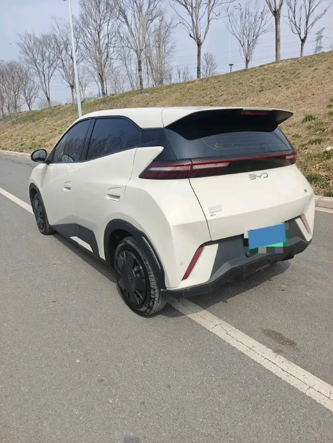 2024 BYD Seagull BEV 30.08KWH,autocango,china used car exporter,china ev exporter,chinese used car exporter,chinese used ev exporter