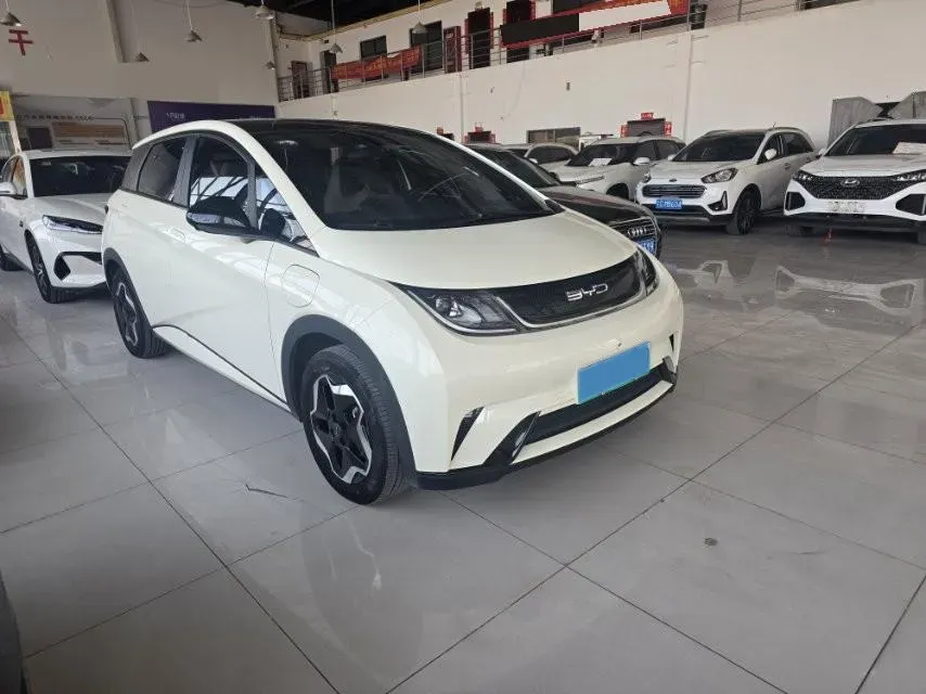 2023 BYD Dolphin BEV 44.928KWH,autocango,china used car exporter,china ev exporter,chinese used car exporter,chinese used ev exporter