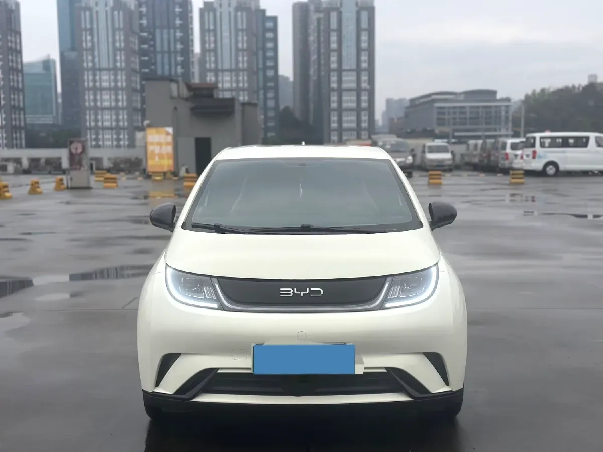 2025 BYD Dolphin BEV 45.12KWH,autocango,china used car exporter,china ev exporter,chinese used car exporter,chinese used ev exporter