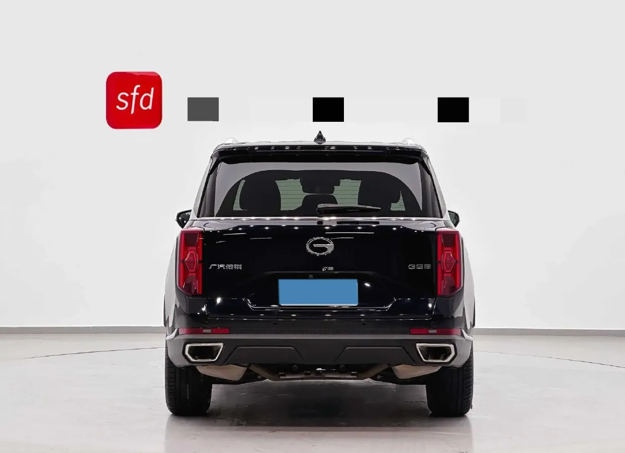 2024 GAC Trumpchi GS8 2.0T 252HP L4 8AT,autocango,china used car exporter,china ev exporter,chinese used car exporter,chinese used ev exporter