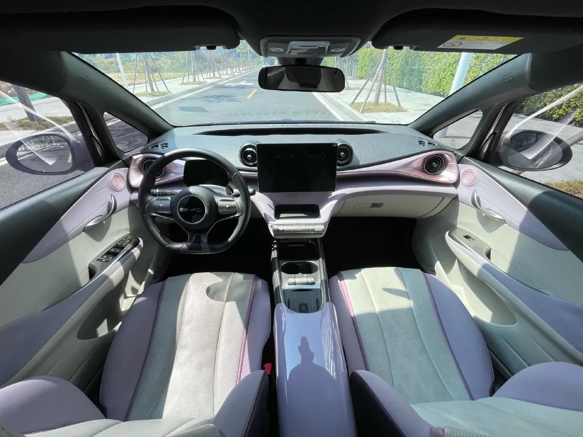 2024 BYD Dolphin BEV 44.928KWH,autocango,china used car exporter,china ev exporter,chinese used car exporter,chinese used ev exporter