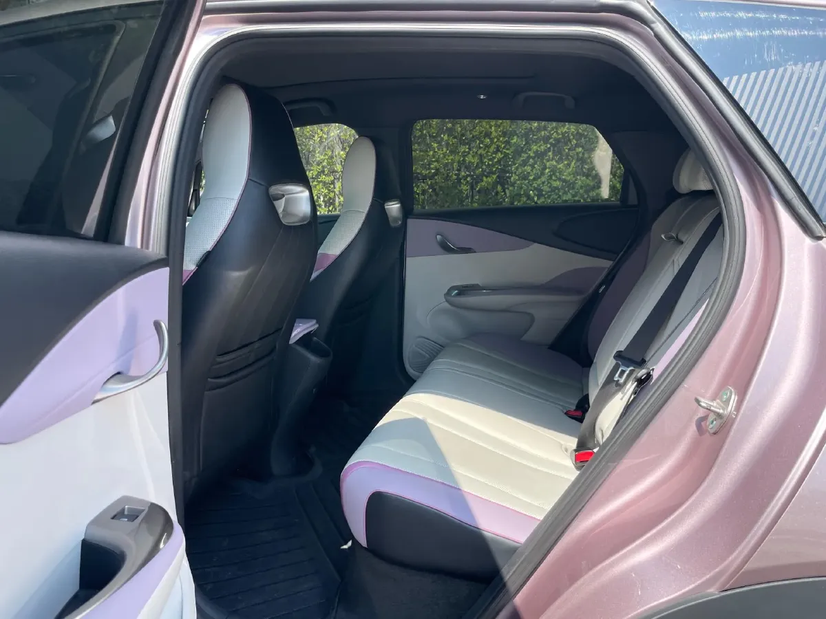 2024 BYD Dolphin BEV 44.928KWH,autocango,china used car exporter,china ev exporter,chinese used car exporter,chinese used ev exporter