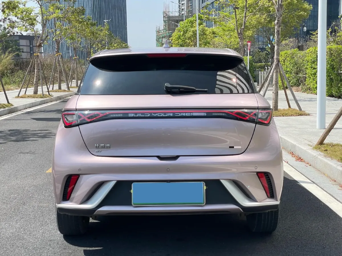 2024 BYD Dolphin BEV 44.928KWH,autocango,china used car exporter,china ev exporter,chinese used car exporter,chinese used ev exporter