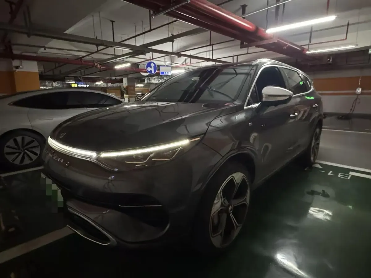 2020 Denza X 2.0T 192HP L4 6DCT PHEV 24KWH,autocango,china used car exporter,china ev exporter,chinese used car exporter,chinese used ev exporter