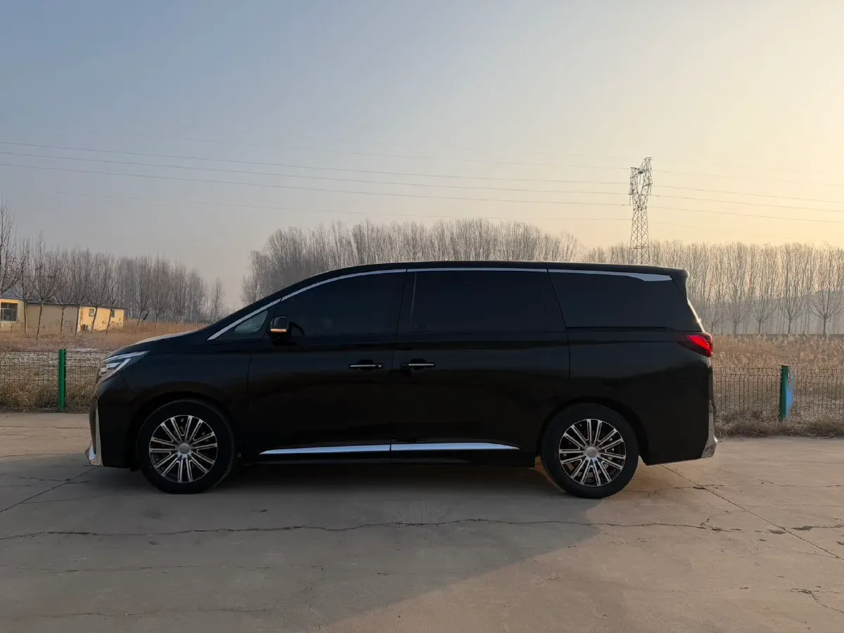 2021 GAC Trumpchi M8 2.0T 252HP L4 8AT,autocango,china used car exporter,china ev exporter,chinese used car exporter,chinese used ev exporter
