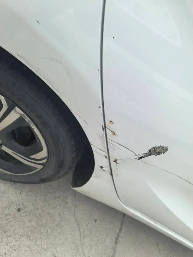 2021 ChangAn BenBen E-Star BEV 32.2KWH,autocango,china used car exporter,china ev exporter,chinese used car exporter,chinese used ev exporter