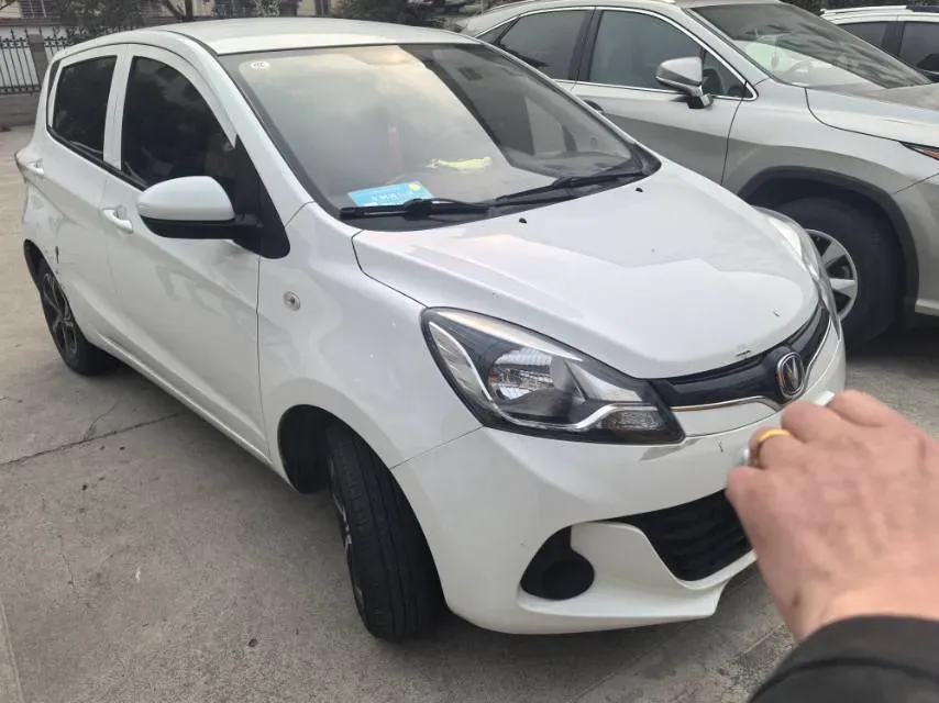2021 ChangAn BenBen E-Star BEV 32.2KWH,autocango,china used car exporter,china ev exporter,chinese used car exporter,chinese used ev exporter