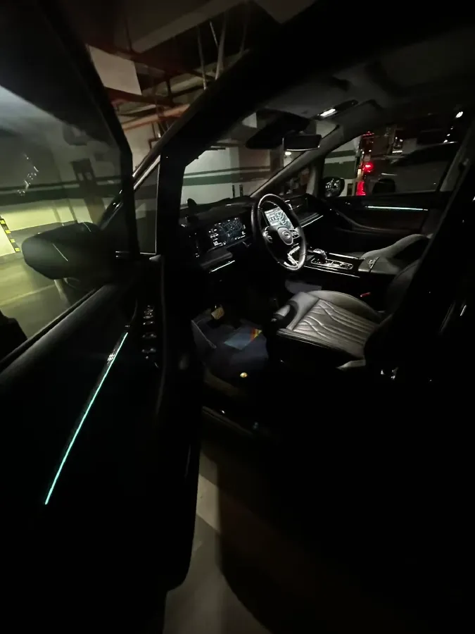 2024 GAC Trumpchi M8 2.0T 252HP L4 8AT,autocango,china used car exporter,china ev exporter,chinese used car exporter,chinese used ev exporter