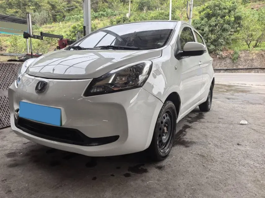 2021 ChangAn BenBen E-Star BEV 31.86KWH,autocango,china used car exporter,china ev exporter,chinese used car exporter,chinese used ev exporter