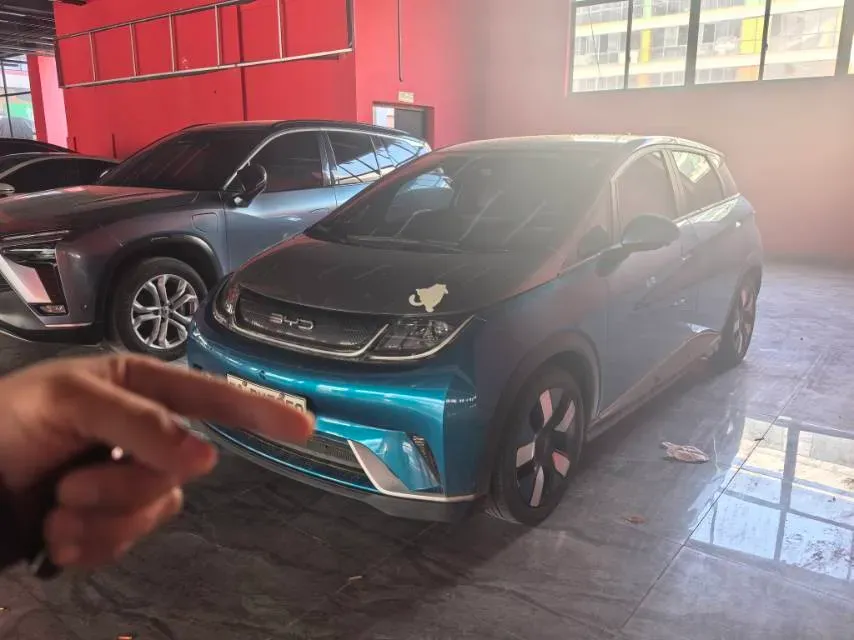 2021 BYD e2 BEV 43.2KWH,autocango,china used car exporter,china ev exporter,chinese used car exporter,chinese used ev exporter