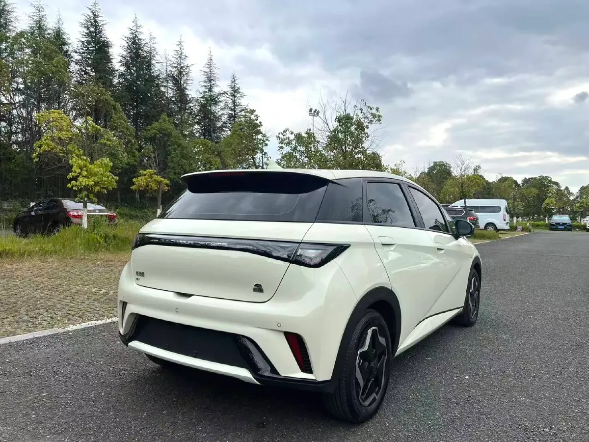 2021 BYD Yuan Pro BEV 50.1KWH,autocango,china used car exporter,china ev exporter,chinese used car exporter,chinese used ev exporter