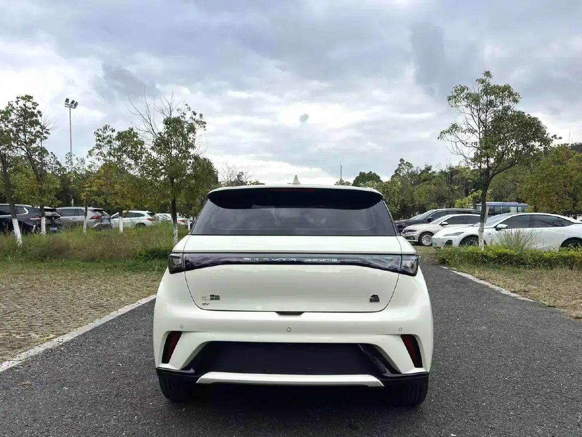 2021 BYD Yuan Pro BEV 50.1KWH,autocango,china used car exporter,china ev exporter,chinese used car exporter,chinese used ev exporter