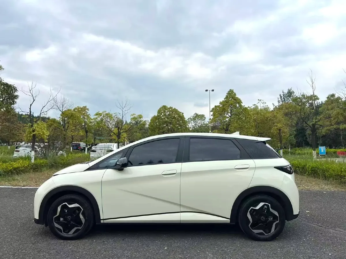 2021 BYD Yuan Pro BEV 50.1KWH,autocango,china used car exporter,china ev exporter,chinese used car exporter,chinese used ev exporter