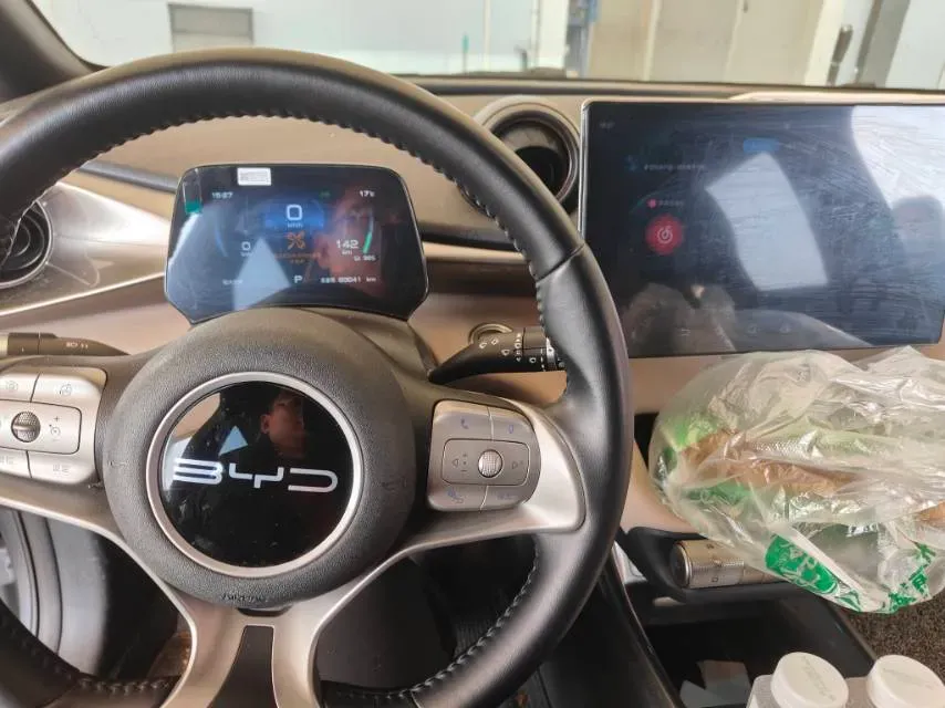 2023 BYD Dolphin BEV 44.928KWH,autocango,china used car exporter,china ev exporter,chinese used car exporter,chinese used ev exporter