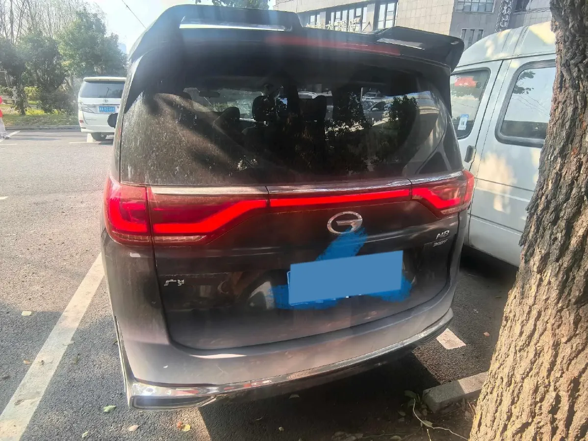 2023 GAC Trumpchi M8 2.0T 252HP L4 8AT,autocango,china used car exporter,china ev exporter,chinese used car exporter,chinese used ev exporter