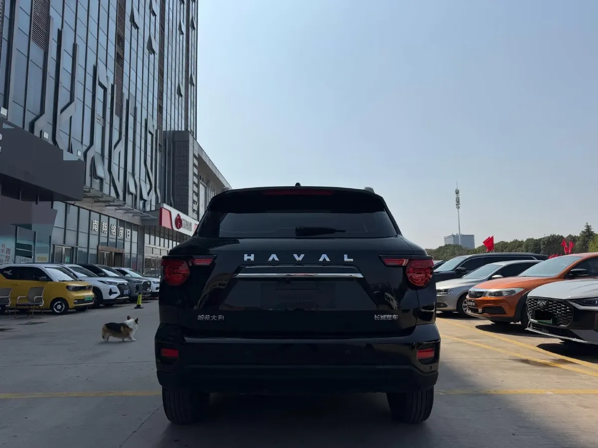 2023 Haval Dargo PLUS 2.0T 238HP L4 9DCT,autocango,china used car exporter,china ev exporter,chinese used car exporter,chinese used ev exporter