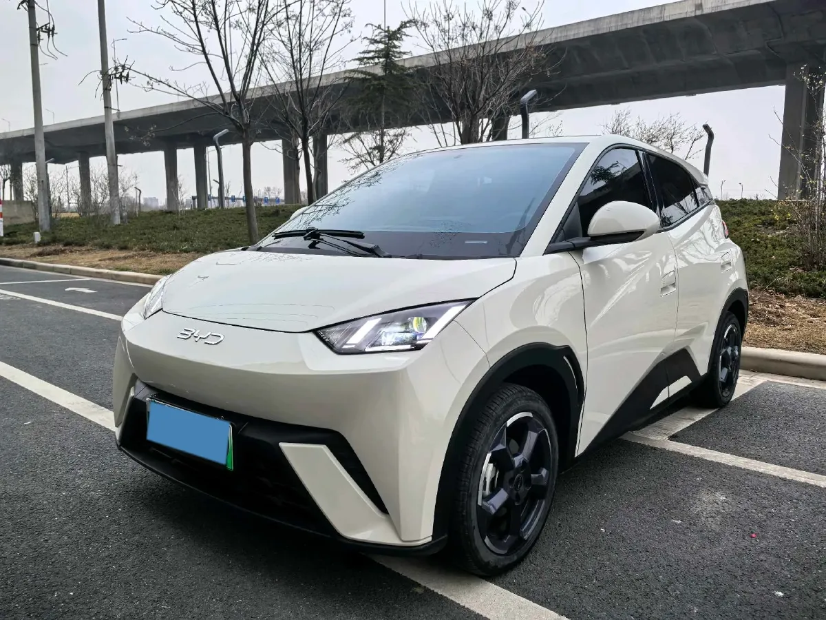 2024 BYD Seagull BEV 30.08KWH,autocango,china used car exporter,china ev exporter,chinese used car exporter,chinese used ev exporter