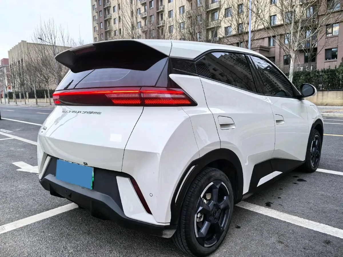 2024 BYD Seagull BEV 30.08KWH,autocango,china used car exporter,china ev exporter,chinese used car exporter,chinese used ev exporter