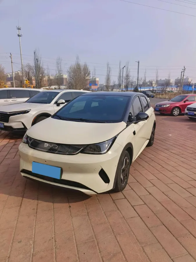 2025 BYD Dolphin BEV 45.12KWH,autocango,china used car exporter,china ev exporter,chinese used car exporter,chinese used ev exporter