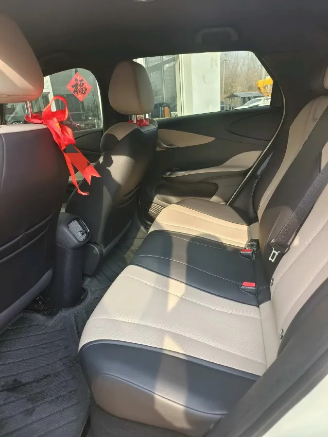 2025 BYD Dolphin BEV 45.12KWH,autocango,china used car exporter,china ev exporter,chinese used car exporter,chinese used ev exporter