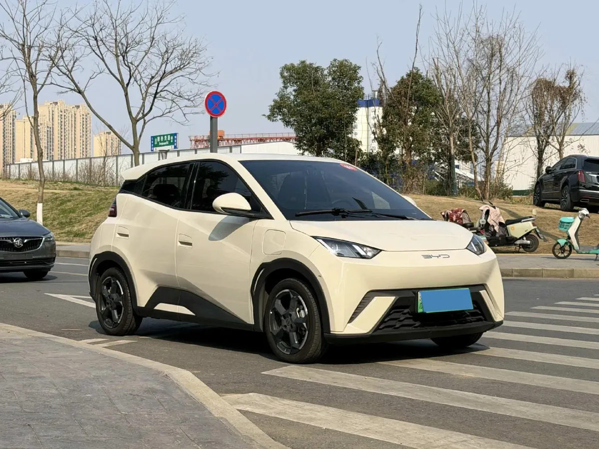 2023 BYD Seagull BEV 30.08KWH,autocango,china used car exporter,china ev exporter,chinese used car exporter,chinese used ev exporter