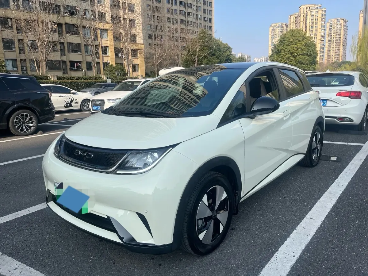 2023 BYD Dolphin BEV 44.928KWH,autocango,china used car exporter,china ev exporter,chinese used car exporter,chinese used ev exporter