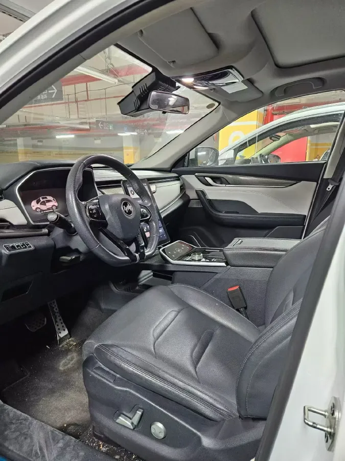 2021 Weltmeister EX5 BEV 52.704KWH,autocango,china used car exporter,china ev exporter,chinese used car exporter,chinese used ev exporter