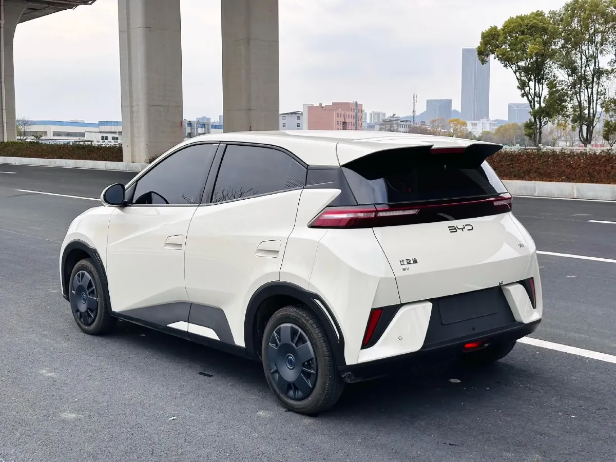 2025 BYD Seagull BEV 30.08KWH,autocango,china used car exporter,china ev exporter,chinese used car exporter,chinese used ev exporter