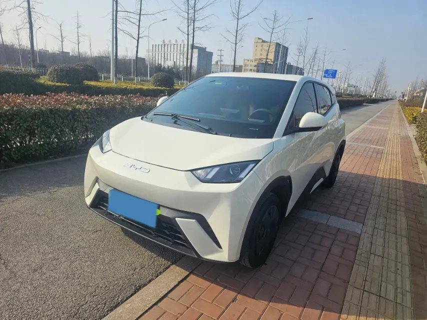 2025 BYD Seagull BEV 30.08KWH,autocango,china used car exporter,china ev exporter,chinese used car exporter,chinese used ev exporter