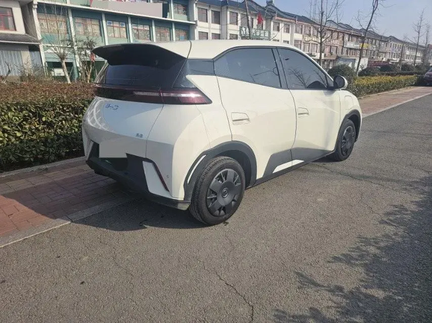 2025 BYD Seagull BEV 30.08KWH,autocango,china used car exporter,china ev exporter,chinese used car exporter,chinese used ev exporter