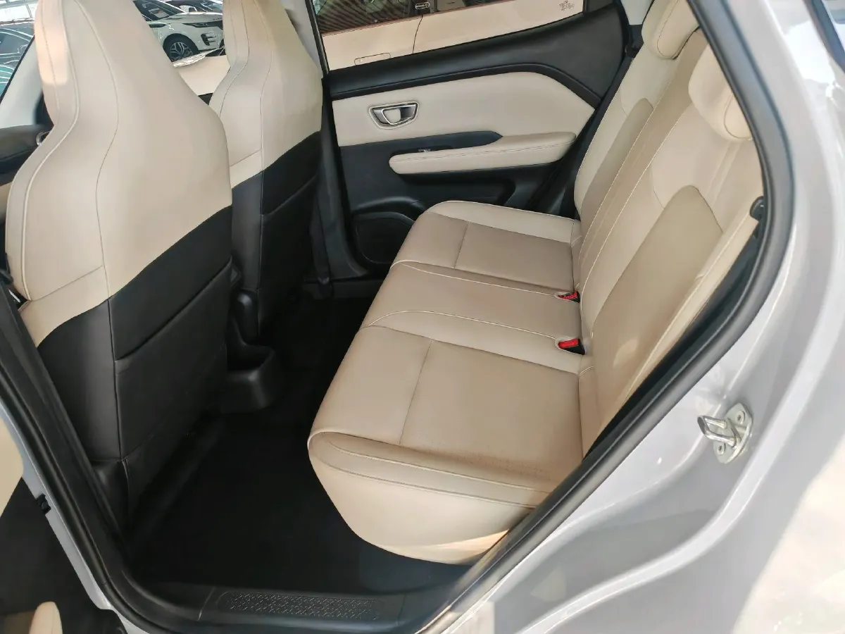 2024 WuLing BinGuoPLUS BEV 50.6KWH,autocango,china used car exporter,china ev exporter,chinese used car exporter,chinese used ev exporter