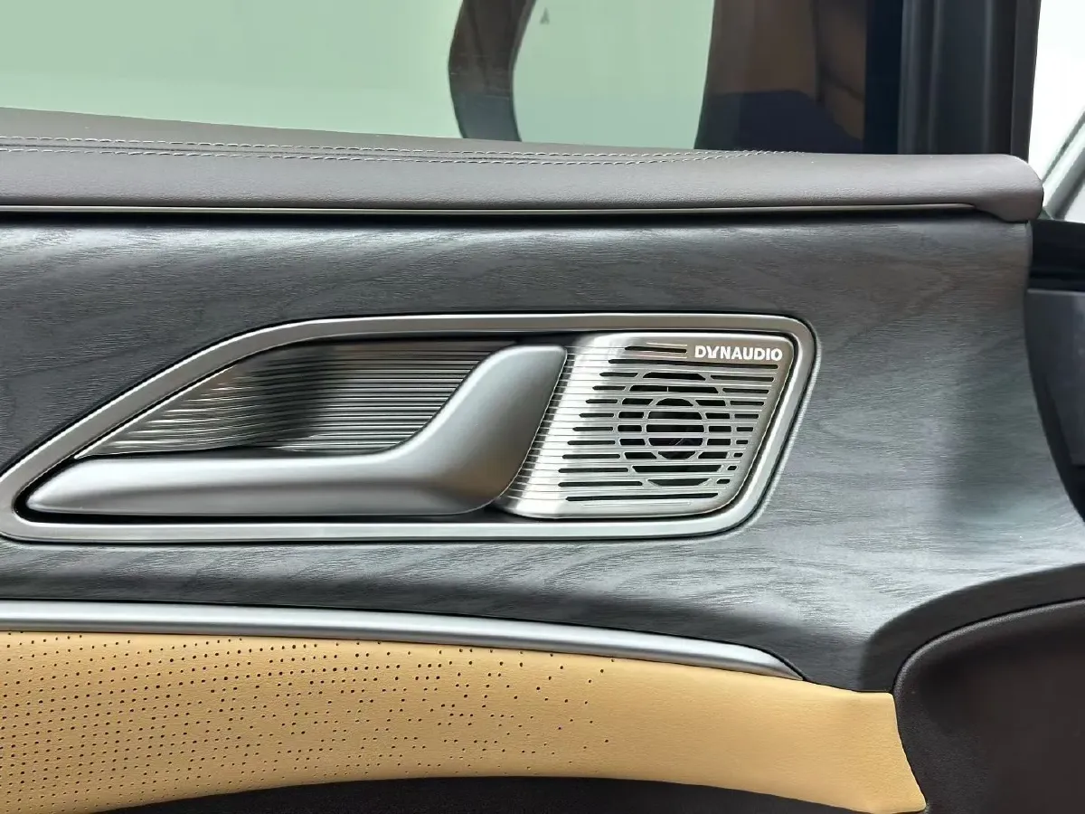 2024 Denza D9 1.5T 139HP L4 E-CVT PHEV 40KWH,autocango,china used car exporter,china ev exporter,chinese used car exporter,chinese used ev exporter