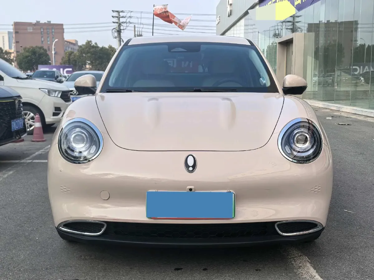 2024 Ora FunkyCat BEV 47.8KWH,autocango,china used car exporter,china ev exporter,chinese used car exporter,chinese used ev exporter