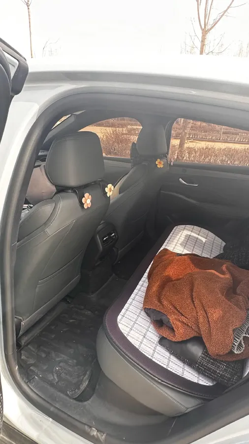 2025 BYD Seal05 DM-i 1.5L 101HP L4 E-CVT PHEV 7.68KWH,autocango,china used car exporter,china ev exporter,chinese used car exporter,chinese used ev exporter