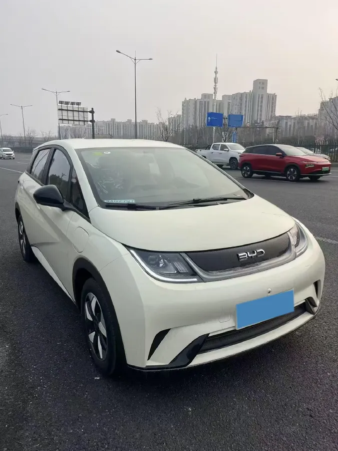 2025 BYD Dolphin BEV 45.12KWH,autocango,china used car exporter,china ev exporter,chinese used car exporter,chinese used ev exporter