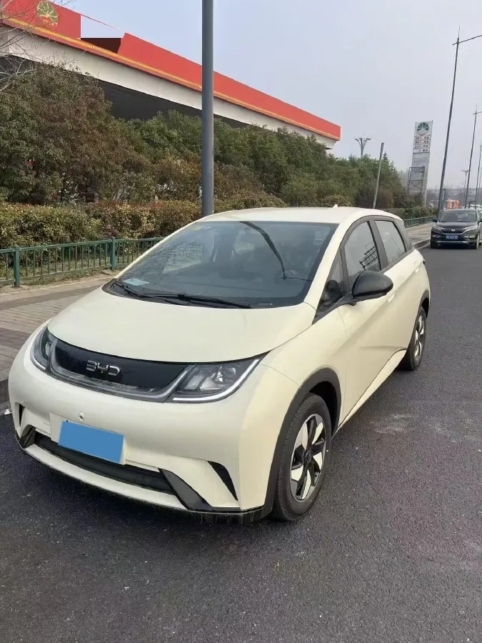 2025 BYD Dolphin BEV 45.12KWH,autocango,china used car exporter,china ev exporter,chinese used car exporter,chinese used ev exporter