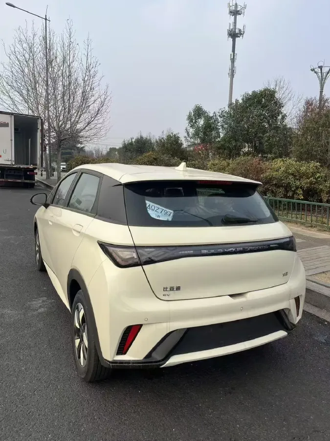 2025 BYD Dolphin BEV 45.12KWH,autocango,china used car exporter,china ev exporter,chinese used car exporter,chinese used ev exporter
