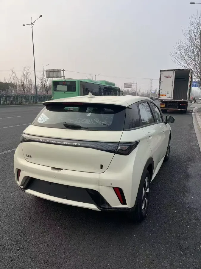 2025 BYD Dolphin BEV 45.12KWH,autocango,china used car exporter,china ev exporter,chinese used car exporter,chinese used ev exporter